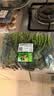 【24小时菜】菠菜苗250g(长度≤20cm) 实拍图