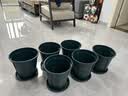 九千谷青山花盆5号带托盘 2.5加仑花盆家庭简约树脂盆24cm3个装2745 实拍图