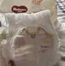 好奇（Huggies）软萌星人柯基裤拉拉裤XXL26片(15kg以上)尿不湿【软糯贴贴】 实拍图