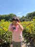 京东京造星空绵柔抽纸4层100抽*20包 吸水不易破纸巾卫生纸餐巾纸整箱自营 实拍图
