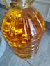 福临门金阙谣 非转基因压榨一级玉米油6.18L 食用油 实拍图