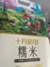 十月稻田 糯米 5斤 东北圆粒糯米 五谷杂粮米 包粽子糯米饭 酿米酒 实拍图