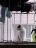 美士全价冻干双拼成猫猫粮 4.5kg 8%原切冻干 实拍图