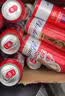 百威【哈宝同款】世界杯礼盒版啤酒【40周年限定】500ml*12罐整箱装 实拍图