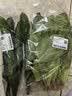大菠菜300g 实拍图