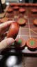 冠小二象棋中国象棋儿童实木带木质棋盘成人大号便携式棋子金丝楠木黑檀 50#红花梨木套装 实拍图