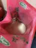 十月稻田 长粒香大米 20斤（东北大米 香米 10kg/公斤） 实拍图