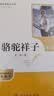 骆驼祥子+钢铁是怎样炼成的（升级版） 人教版名著阅读课程化丛书 七年级下套装（共2册）与25春新版初中语文教材配套使用（含微课，从教学角度讲解名著；含阅读笔记本，提供测评指导帮助提升整本书阅读能力） 实拍图