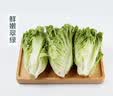 【烧烤季】钟灵山罗马生菜400g 实拍图