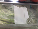 家の物语（KATEI STORY）日本抗菌拉链密封袋保鲜袋食品级加厚冰箱冷冻专用封口蔬菜密实袋 抗菌材质【大号3盒】 10只 实拍图