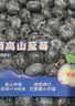 云南高山巨无霸蓝莓125g 22mm 实拍图