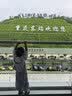 Swisse斯维诗 钙镁维生素D迷你片成人中老年孕妇柠檬酸钙300片  实拍图