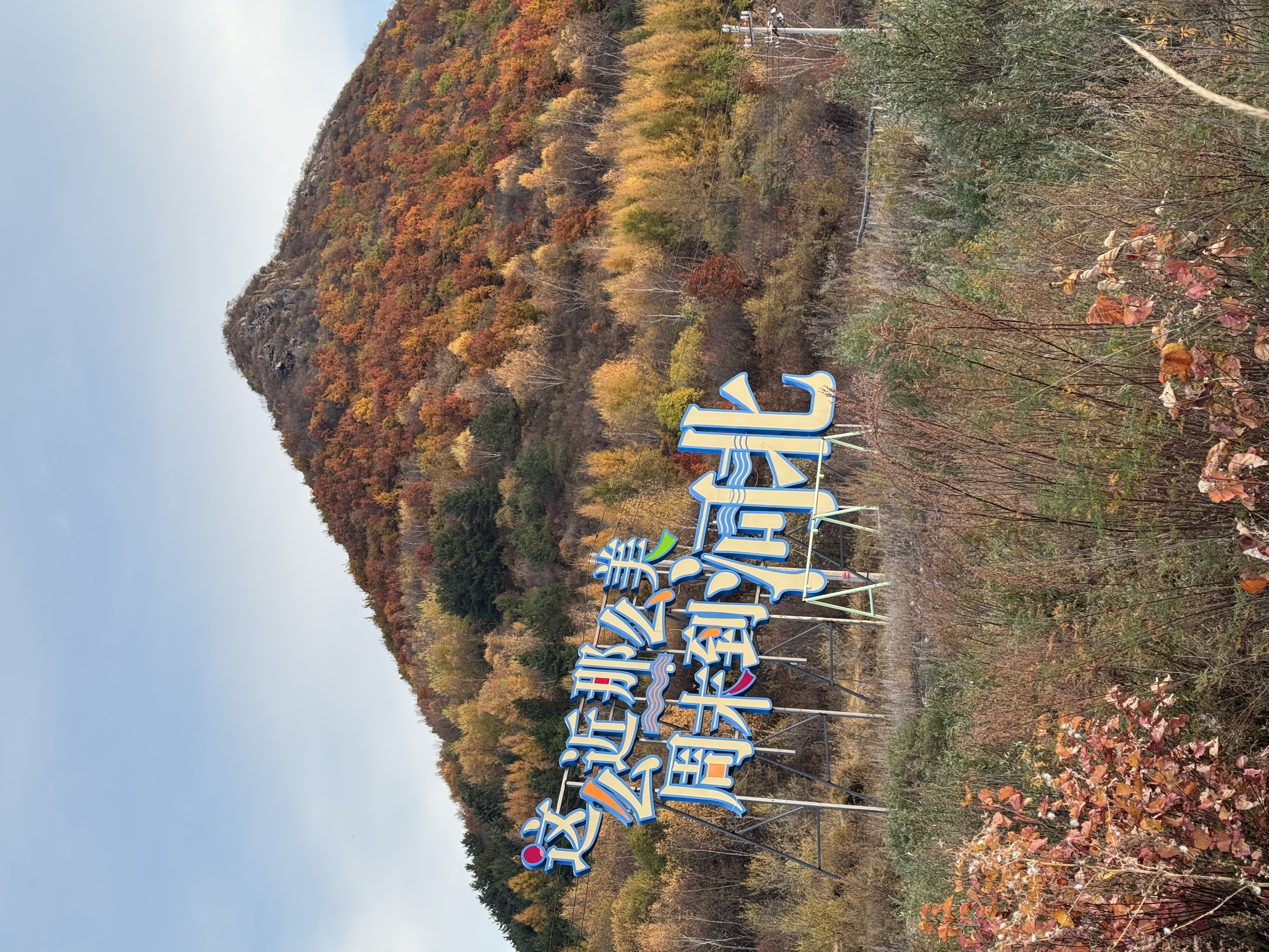 神火（SupFire）户外防身登山杖铝合金型老人超轻便防滑拐棍徒步健走爬山装备手杖 实拍图