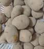稀壤恩施小土豆高山黄心马铃薯新鲜蔬菜黄皮洋芋净重2.5kg 中号2.5kg 实拍图