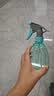 喷壶浇花浇水喷雾器气压式喷水壶家用园艺养花500ml 南瓜喷壶透蓝【1个装】 实拍图