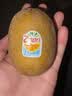 佳沛（zespri）新西兰金奇异果10粒巨大果146-175g猕猴桃水果礼盒 实拍图