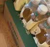 农夫山泉东方树叶桂花乌龙茶335ml*24瓶无糖茶饮料0糖0脂0卡【金秋限定】 实拍图
