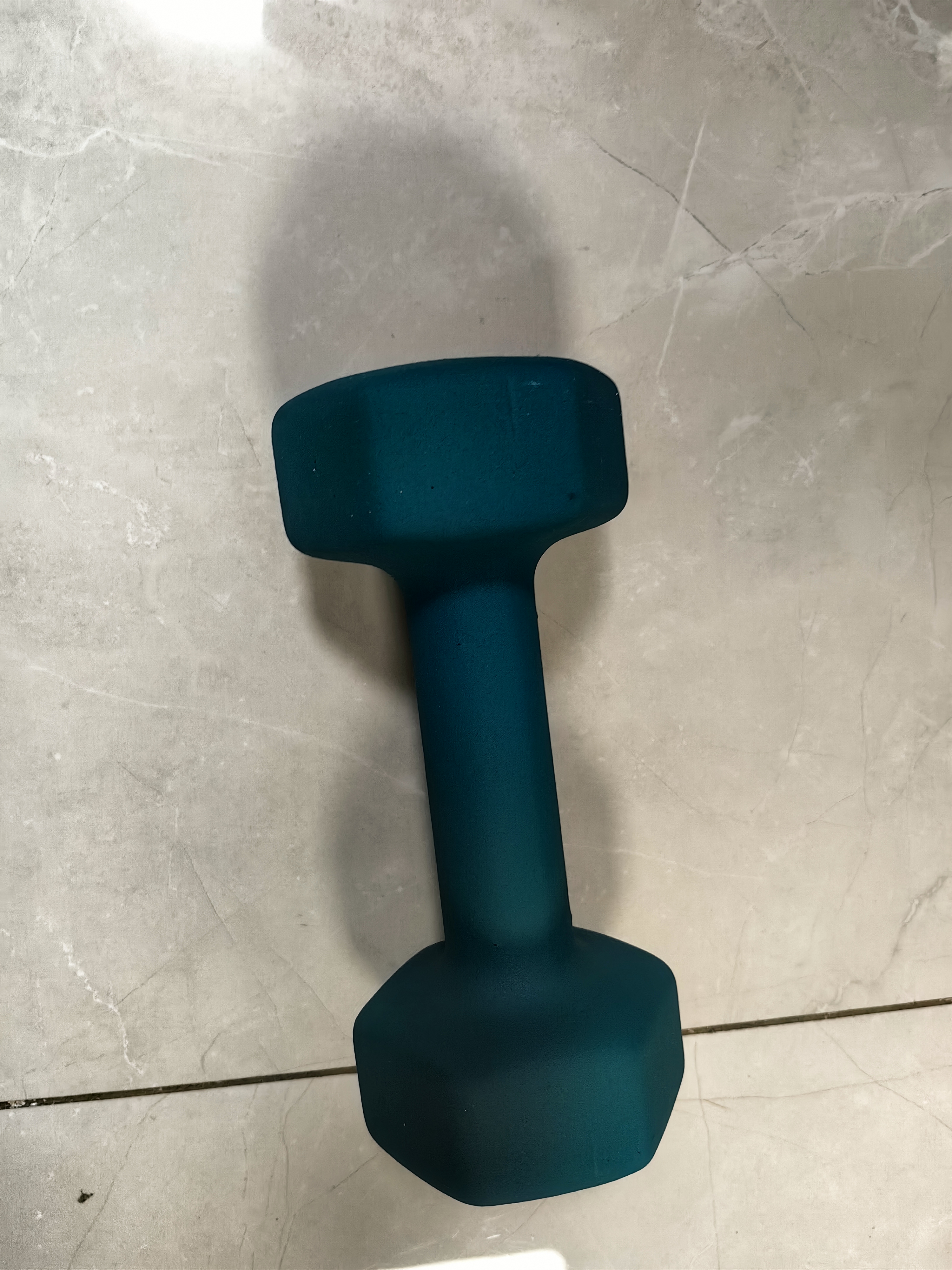 PROIRON普力艾 哑铃环保浸塑男士家用健身器材六角纯铁哑铃 4KG一对装 实拍图