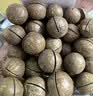 百草味 罐装夏威夷果500g 奶油味每日坚果仁干果类零食小吃特产送礼 实拍图