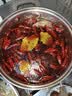 和蓉汇白千层肚1kg 固形物≥60% 冷藏川渝火锅食材毛肚千层牛百叶生鲜 实拍图