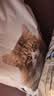 冠能猫粮成猫猫粮三文鱼味7kg 全价猫粮 稳固免疫 适口性强 实拍图