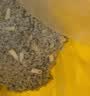 pidan混合豆腐猫砂 豆腐膨润土皮蛋猫砂除臭猫砂结团快 经典款2.4kg*4 实拍图