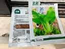 北蔬 小青菜种子苗上海青梗菜油菜种籽 速生605上海青种子50g约2万粒 实拍图