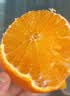 京喜加【多仓发货】正宗头茬高山沃柑新鲜当季水果大果桔子蜜橘砂糖柑橘 带箱3斤特大果【新鲜采摘产地直发】 实拍图