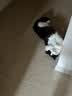 FARMINA PET FOODS法米娜猫粮鲱鱼甜橙成猫粮1.5kg意大利进口 实拍图