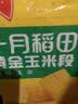 十月稻田 黄糯6cm玉米段 8段 共1.6斤 东北杂粮粗粮 低脂早餐 火锅食材 实拍图