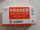 2盒装[白云山] 阿莫西林胶囊0.5g*20粒/盒 实拍图