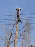 镭威视4g太阳能摄像头终身免流量AI室外免插电无电无网手机远程户外监控器家用360度无死角高清全景夜视 实拍图