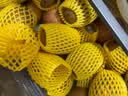 佳沛（zespri）新西兰金奇异果12粒特大果124-146g猕猴桃水果礼盒 实拍图