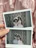 INSTAX富士instax立拍立得 宽幅相纸 白边双包装20张（适用于WIDE系列相机） 实拍图