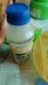 乳酸菌益生菌风味饮料乳酸菌饮品340ml/瓶早餐酸奶好喝 益生菌 340ml* 12 实拍图