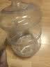 拜杰纯净水桶食品级PC水桶桶装水桶 矿泉水桶空桶手提饮水桶 黑盖15L 实拍图