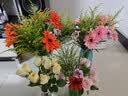 京东鲜花组合花材6束玫瑰20枝+非洲菊20枝+康乃馨10枝+黄莺一束 实拍图