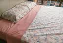 LOVO罗莱家纺 全棉四件套100%纯棉床单被套双人床上用品220*240cm 实拍图