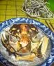 【活蟹】漁家师傅大闸蟹全母3.0-3.3两8只去绳足重鲜活螃蟹现货生鲜水产礼盒金秋送礼 实拍图