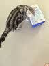 LEGENDSANDY蓝氏 全价猫粮成猫幼猫生骨肉冻干粮 猎鸟乳鸽系列兔肉口味1.5kg 实拍图