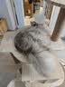 乐妃实木猫爬架猫窝猫树玩睡一体家用小户型不占地猫架子猫咪城堡别墅 实拍图