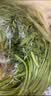 蒿子杆300g(茼蒿） 实拍图
