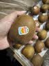 佳沛（zespri）新西兰金奇异果22粒巨大原箱146-175g猕猴桃水果礼盒 实拍图