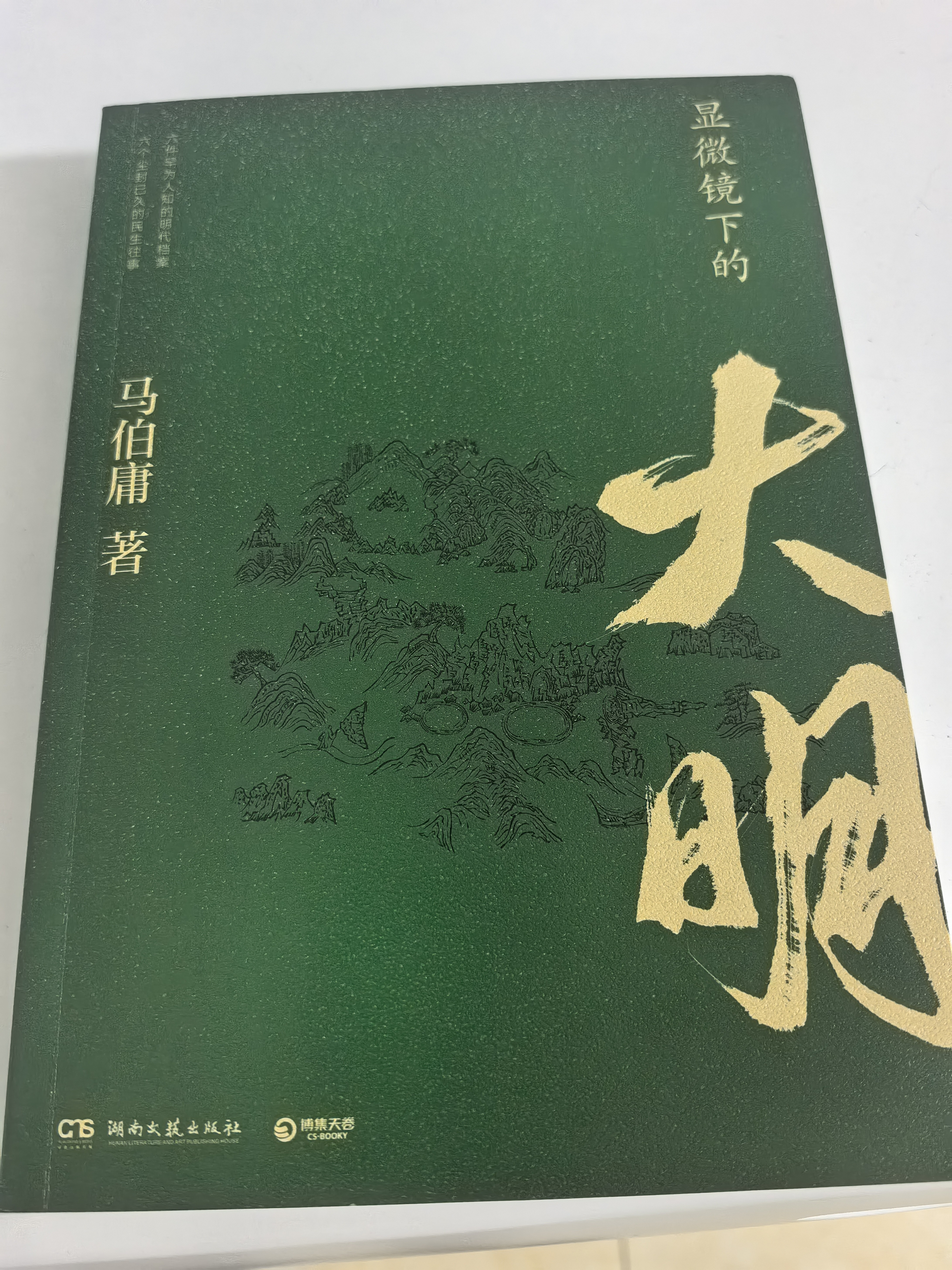 显微镜下的大明（马伯庸著，全新明朝历史书） 实拍图