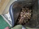 百草味紫皮腰果 大颗粒罐装坚果带衣腰果仁 【大袋畅享】盐焗味500g 实拍图