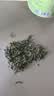 贡苑小叶苦丁茶250g 特级2026新茶嫩芽四川峨眉山明前头采茶叶 实拍图