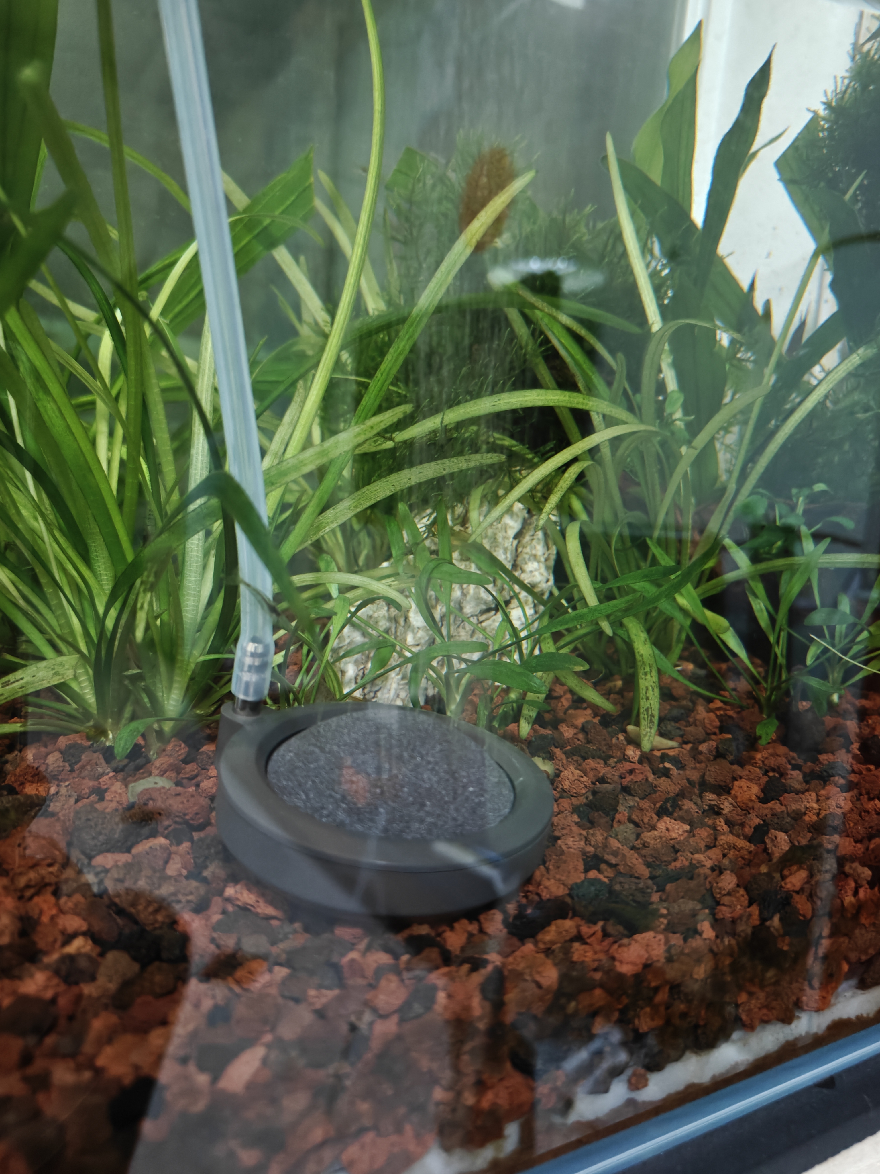 鱼呼吸鱼缸增氧气泵配件直径6cm【纳米沙盘*2个】加泡细化溶氧饼石家用 实拍图