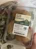 应季新土豆约1kg 实拍图