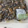 赶海弟【潍坊产地】生蚝干400g不抽油海蛎子牡蛎 火锅食材 源头直发包邮 实拍图