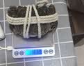 【活蟹】漁家师傅大闸蟹全母3.0-3.3两8只去绳足重鲜活螃蟹现货生鲜水产礼盒金秋送礼 实拍图